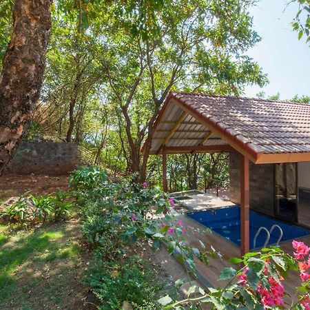 Soul Tree Villa 50 Super Luxury Villa With Heated Plunge Pool And Jacuzzi 拉瓦萨市 外观 照片